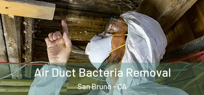  Air Duct Bacteria Removal San Bruno - CA