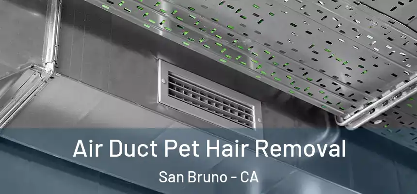  Air Duct Pet Hair Removal San Bruno - CA