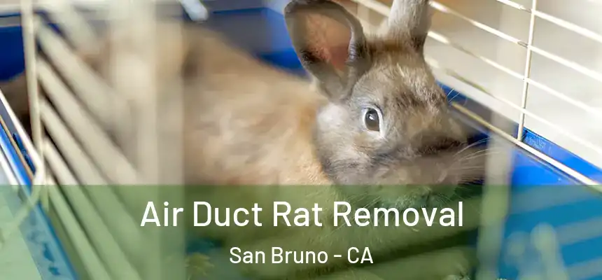  Air Duct Rat Removal San Bruno - CA