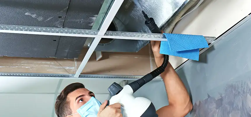 Our Air Duct Rodent Removal Services in San Bruno, CA