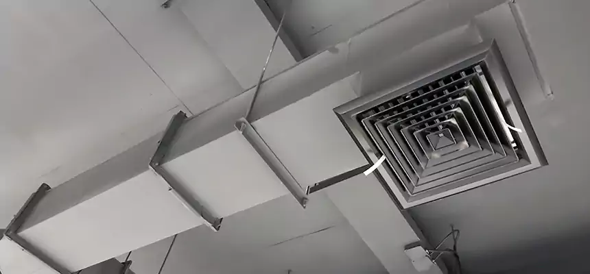 Our Rodent Droppings In Vents Services in San Bruno, CA