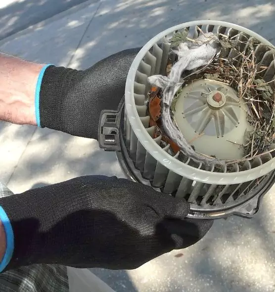 About Air Duct Mice Removal in San Bruno, CA