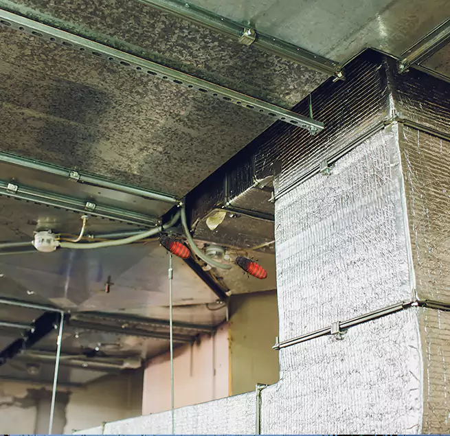 Why Homeowners & Businesses Trust Us in San Bruno, CA?